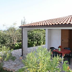 Studio superior